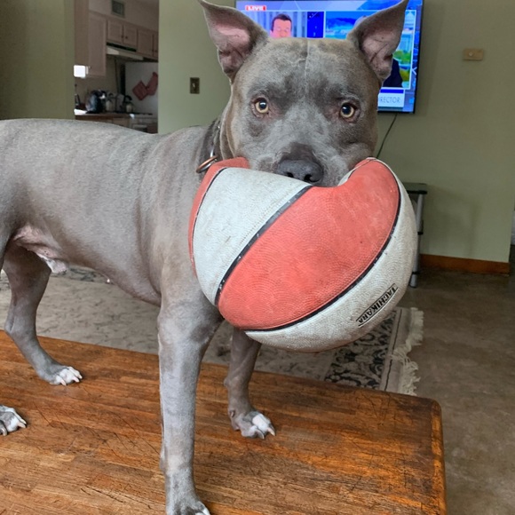 Meet your Posher, Tania - Picture 4 of 16